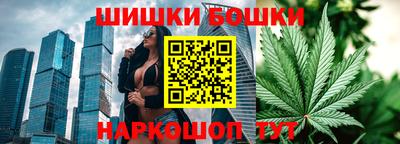 сатива Будённовск