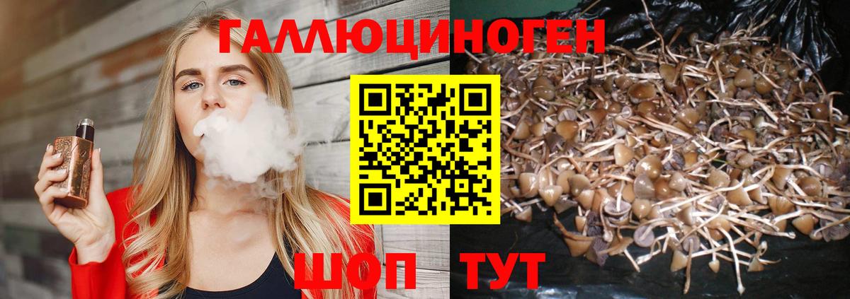 Рославль  Псилоцибиновые грибы мухоморы  Вход с VPN 